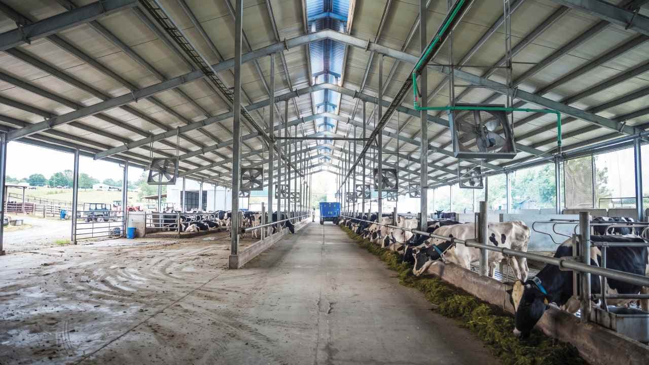 Custom ERP Software for Dairy Manufacturing