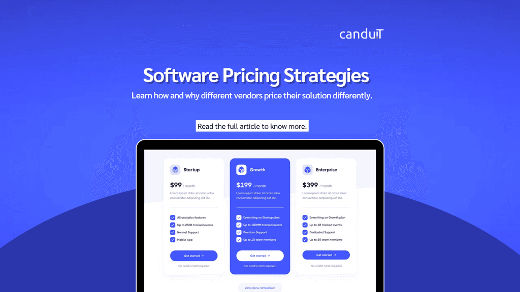 Why Software Pricing Varies: What's Really Behind the Numbers
